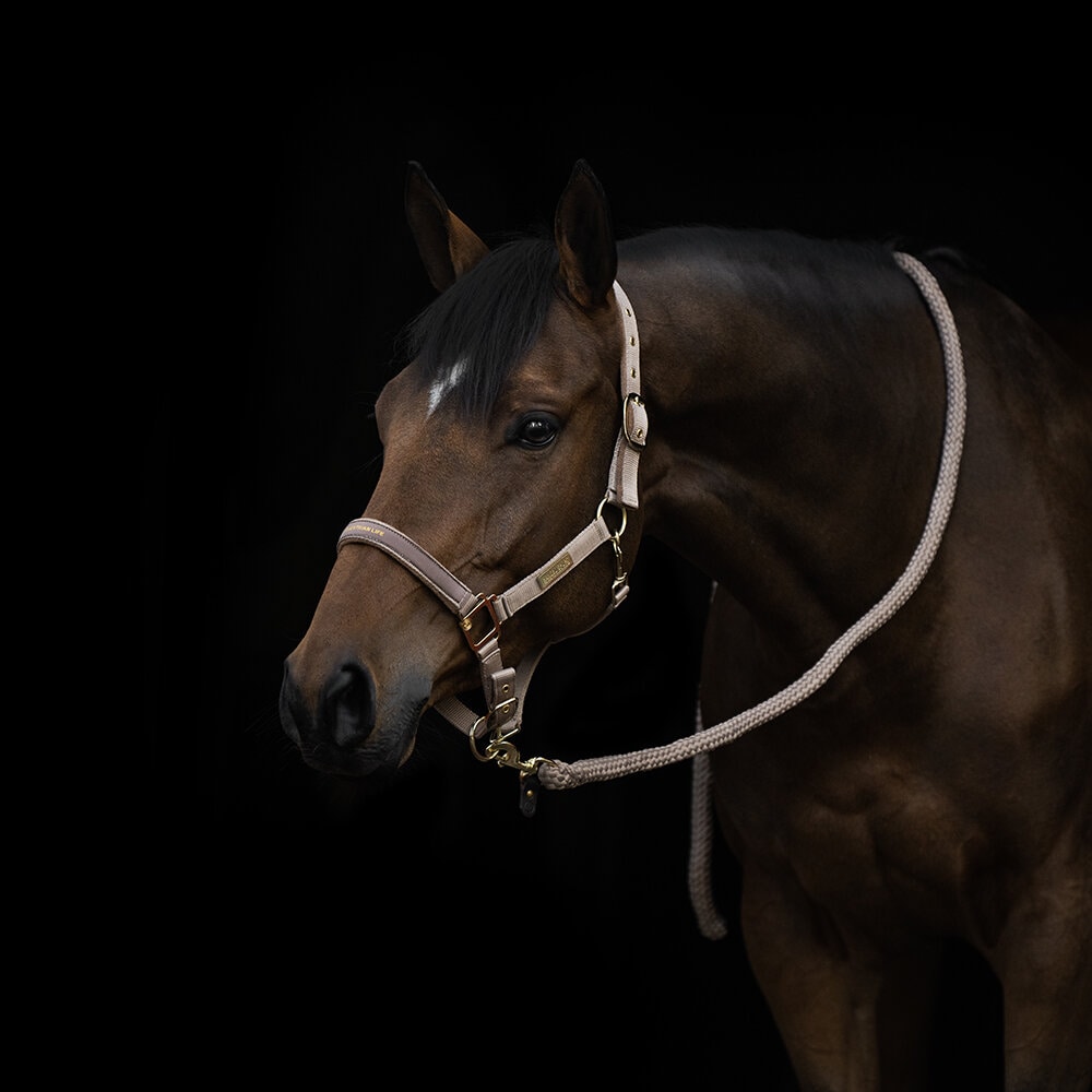 Grimma EQUESTRIAN LIFE