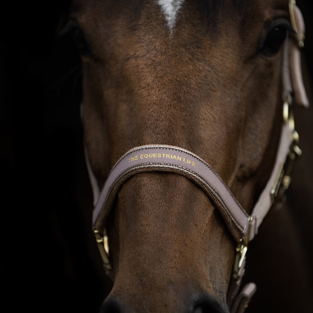 Grimma EQUESTRIAN LIFE