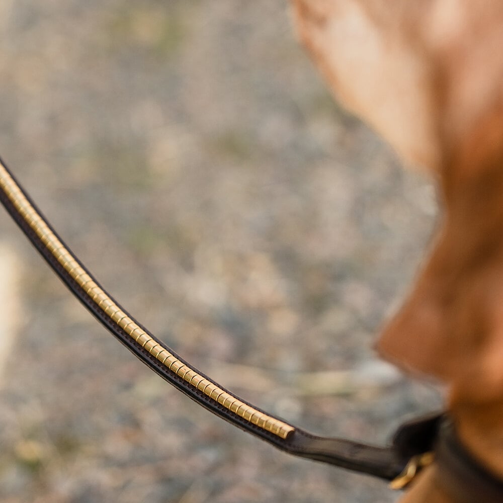 Hundkoppel Clincher Läder Brun