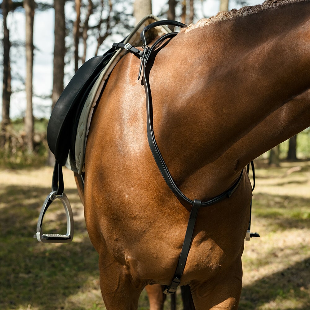 Svart Halsrem med handtag