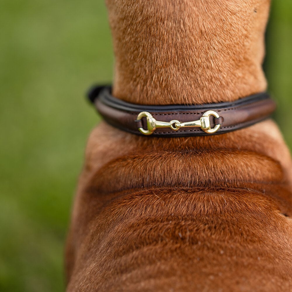 Brunt Hundhalsband Hästbett i läder