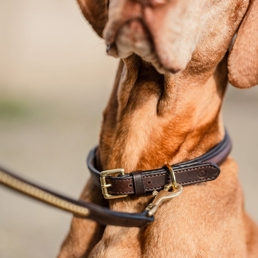 Brunt Hundhalsband Hästbett i läder