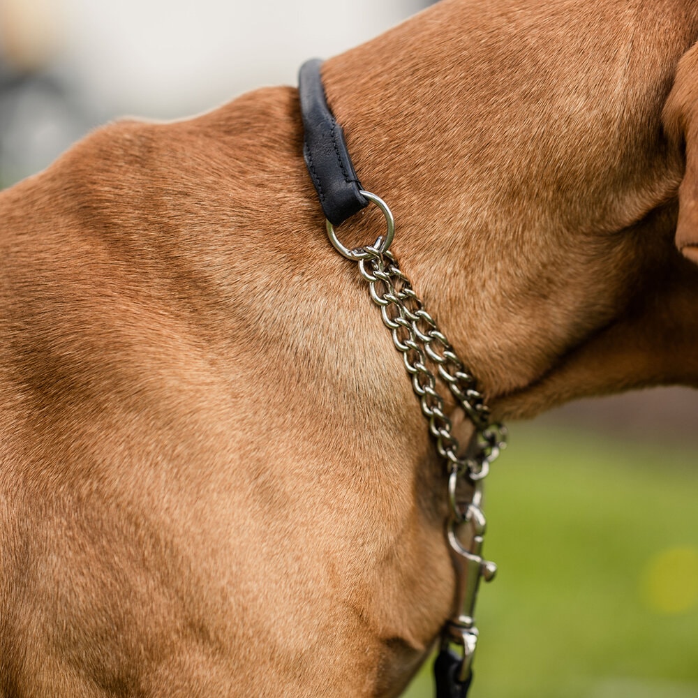 Svart Hundhalsband Halvstryp