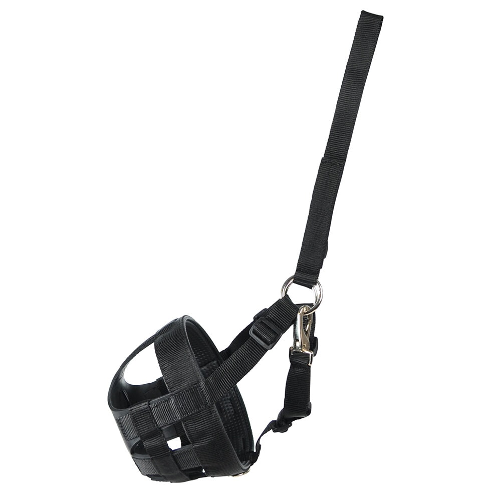 En svart nätmunkorg med justerbara nylonremmar och en karbinhake.