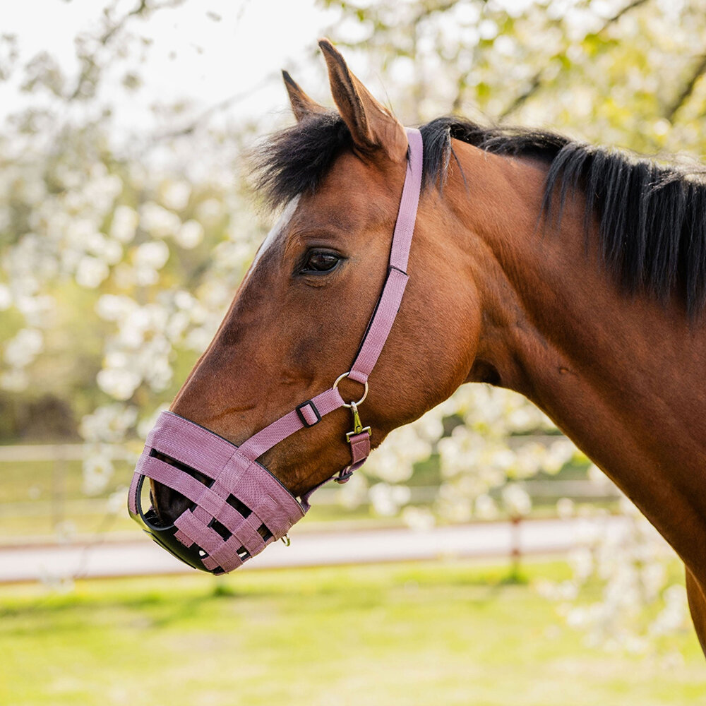 Betesreducerare Airflow Rosa