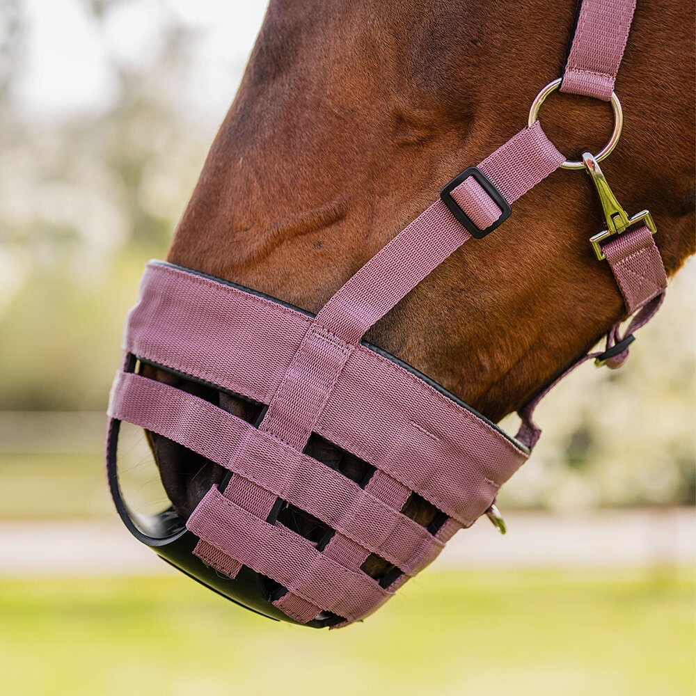 Betesreducerare Airflow Rosa