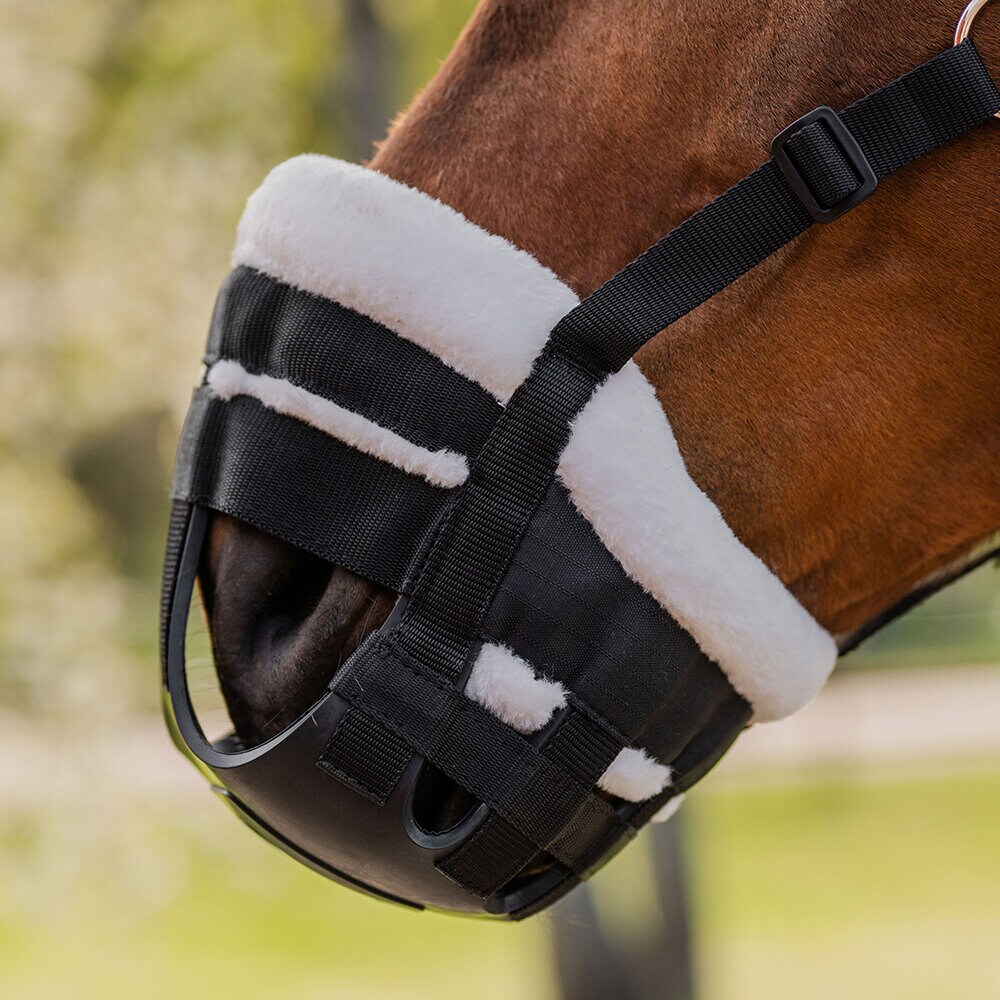 Betesreducerare Comfy Svart