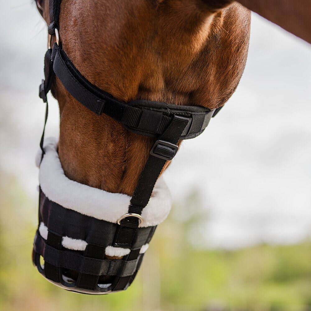 Betesreducerare Comfy Svart